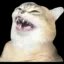 Catlaugh